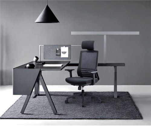 יו"ר משרד מקצועי